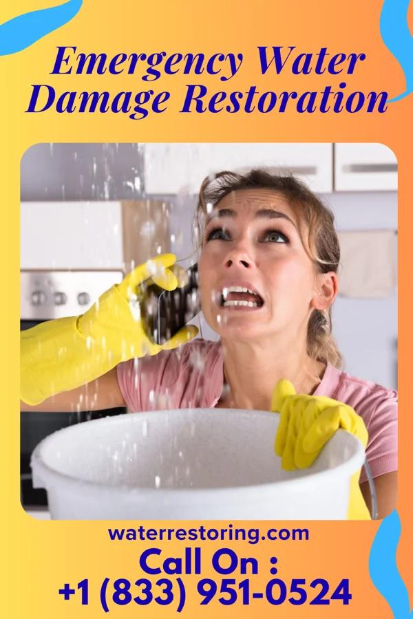 Emergency Water Damage Restoration in Irvine, KY