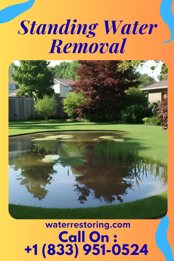 Standing Water Removal in Irvine, KY